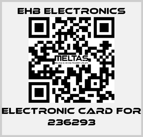 Electronic Card for 236293 ehb electronics