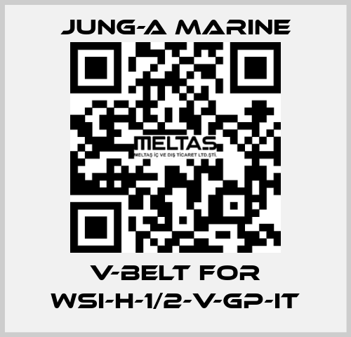 V-belt for WSI-H-1/2-V-GP-IT JUNG-A MARINE