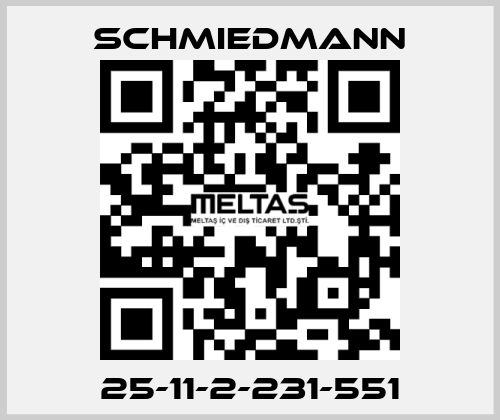 25-11-2-231-551 Schmiedmann