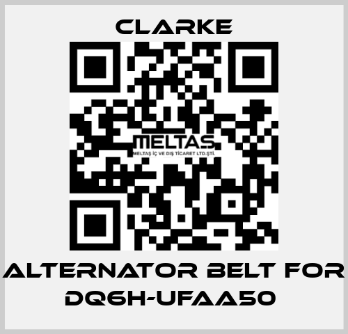 Alternator Belt for DQ6H-UFAA50  Clarke