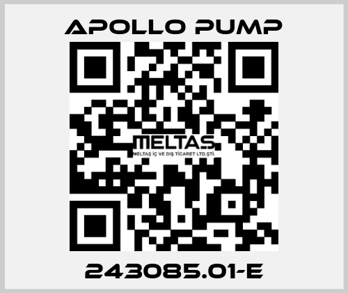 243085.01-E Apollo pump