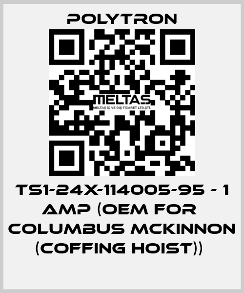 TS1-24X-114005-95 - 1 AMP (OEM for  Columbus McKinnon (Coffing Hoist))  Polytron