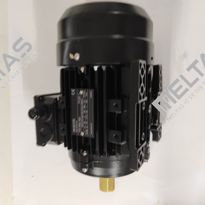 DMGL 90L4 – B3 DM Motors