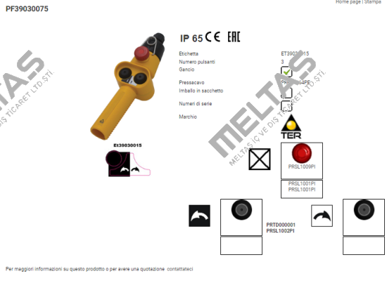 PF39030075 Ter Tecno Elettrica Ravasi