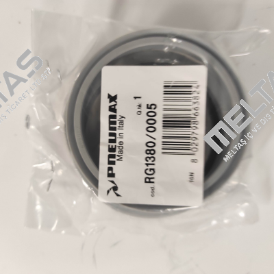 RG1380/0005 Pneumax