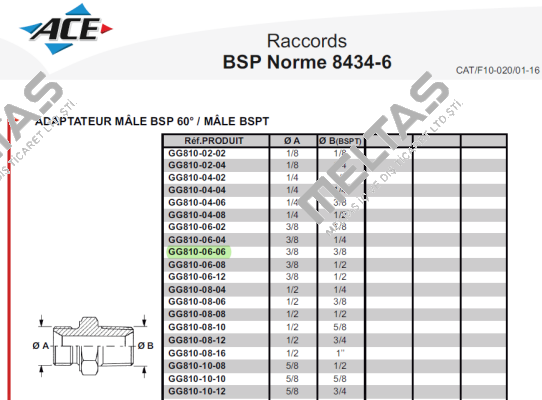 GG810-06-06 Aeroquip