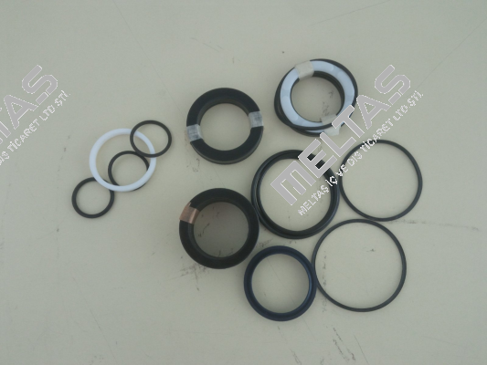 seal kit for K0-50/36X160-A303-G-I-1-M-20 Glual Hydraulics