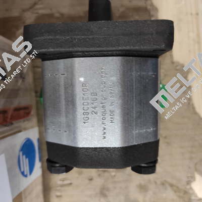 11055 / 1G8CDE10R Roquet pump