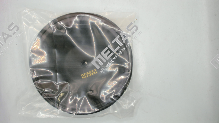 160 4020B DP-25 Diaphragm Buna / 3008587 TERYAIR