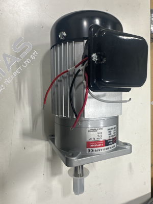 J220V18-300-21.4-A(G2) Luyang Gear Motor