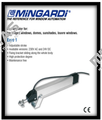 1E96200140A00 Mingardi