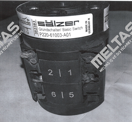 P220-61003-219M1 Salzer