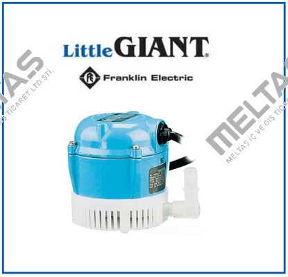 LG501038  Little Giant