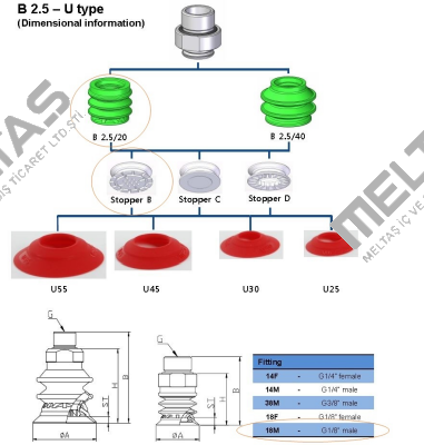 U25  Vmeca