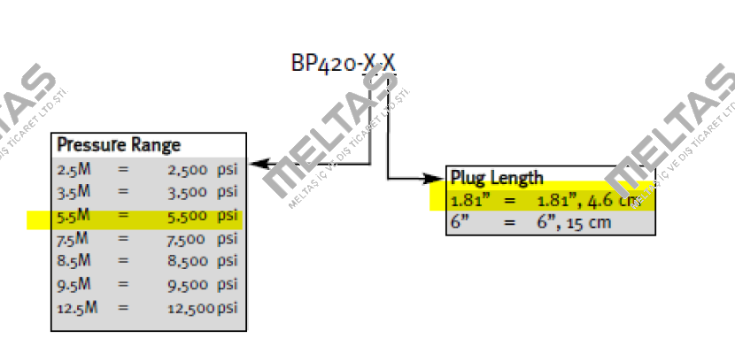 BP420-1/2-5.5M-1.81 Dynisco