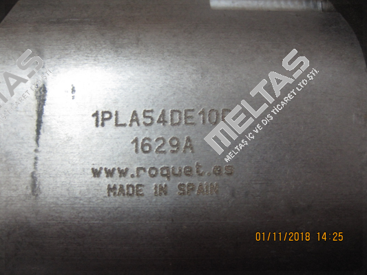 1PLA54DE10R P1BRN3036L10 Roquet pump