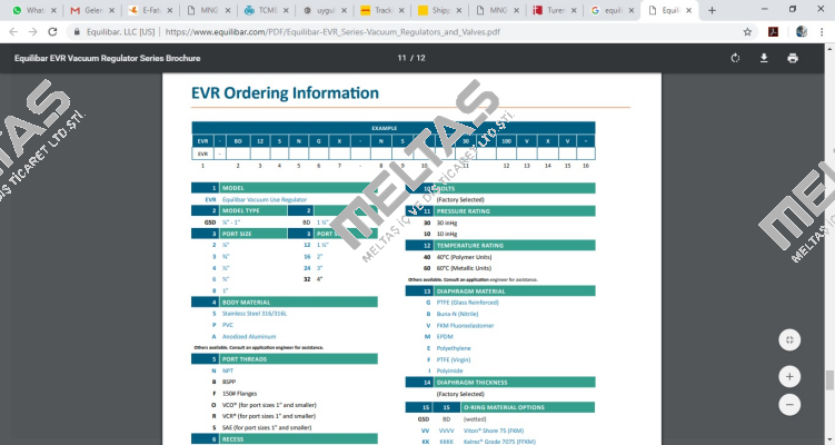 EVR- GSD6SNGX-NSX30T60FXVV Equilibar