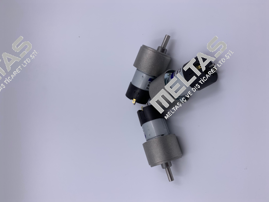 RH158.24.100 Micro Motors