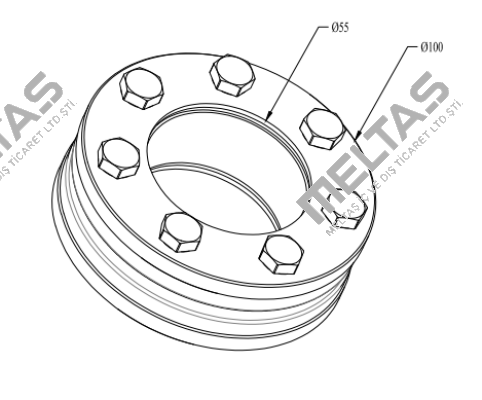 RFN4061 55X100 Ringfeder