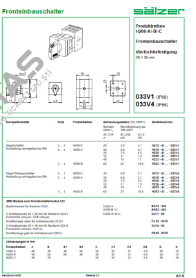 H263-41300-033V4 Salzer