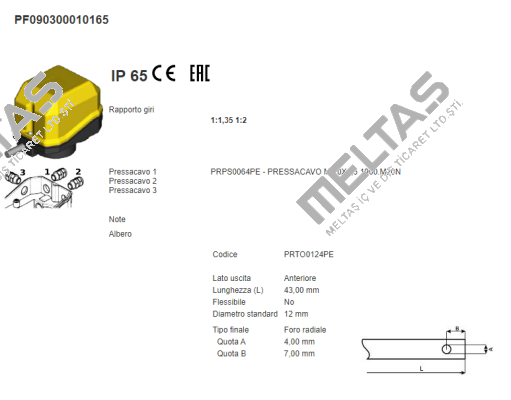 PF090300010165 Ter Tecno Elettrica Ravasi