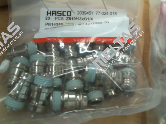 2039451 (Z810/13xG1/4) Hasco