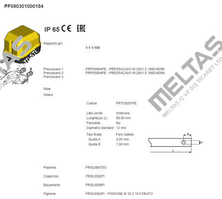 PF090301000184 Ter Tecno Elettrica Ravasi