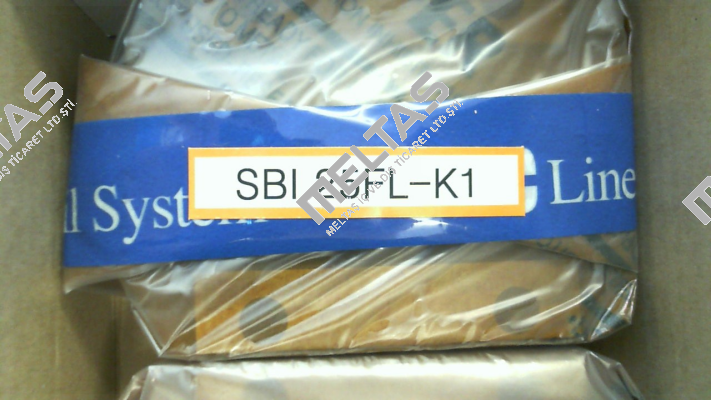 SBI 25 FL K1 SBC Linear Rail System