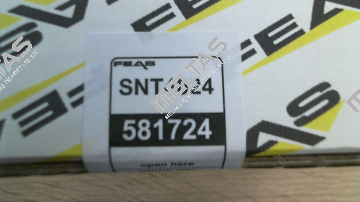 SNT4024 Feas