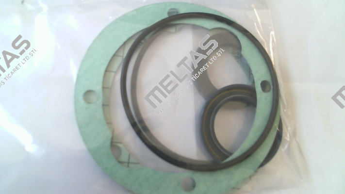 Seal KIT for GR45-SMT16B-180L-RF1 Settima