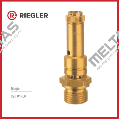 226.01-0,9 Riegler