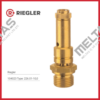 104023 Type: 226.01-10,0 Riegler