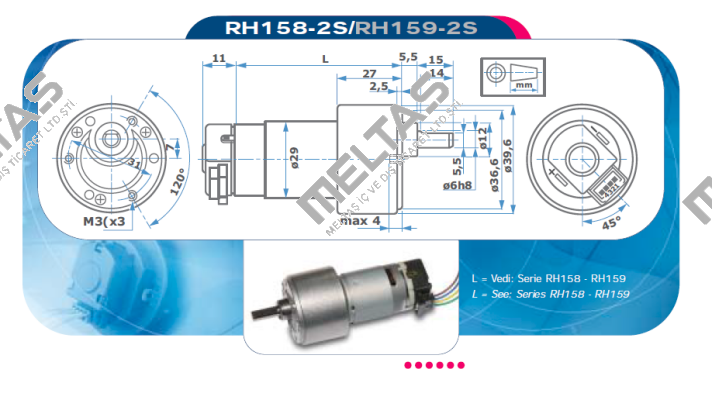 RH158-12-200 Micro Motors