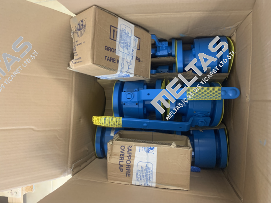 FE2 BALL VALVE A105 + 316 DN 25 A150 BALANCE HOLE + STRIPPLABLE VARNISH Adler Spa