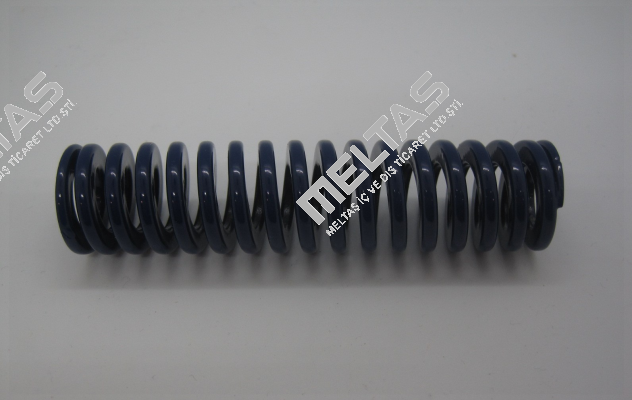 6005000078 SDF 600 Special Springs