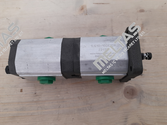 rq- 1lq1010de10r Roquet pump