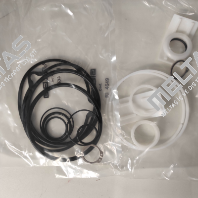 Repair kit suitable for SR100 (RI4607 + RI4649) Valbia