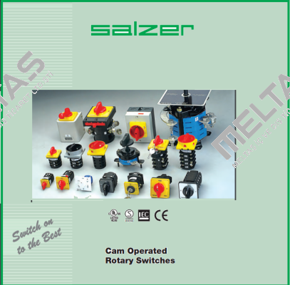 61131 Salzer