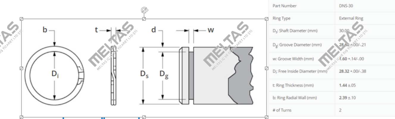 DNS-30 SMALLEY