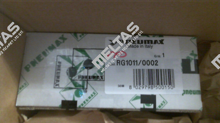 RG1011/0002 Pneumax