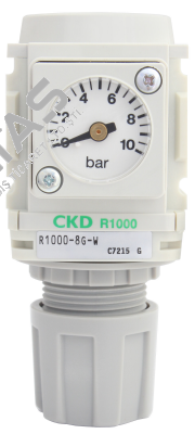 R1000-8G-G3 Ckd