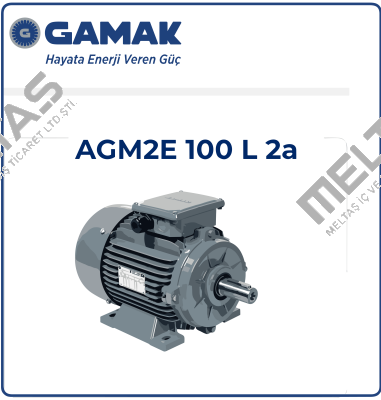 2007 177409 AGM 100 L 2 Gamak