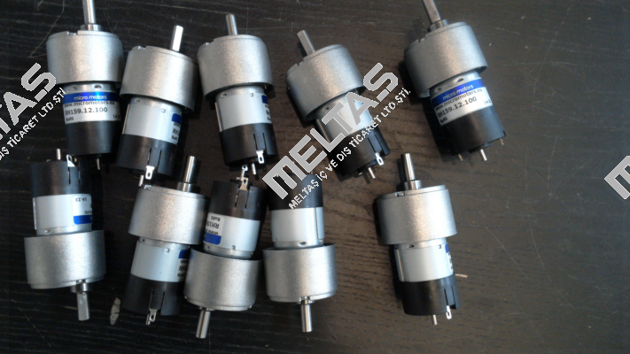 RH159.12.100 Micro Motors