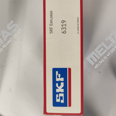 6319 Skf