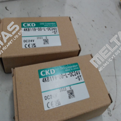 4KB119-00-L-DC24V Ckd